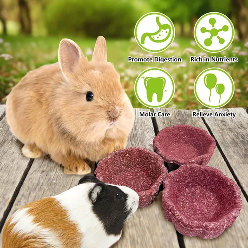 Vista 4 de Paquete de 6 juguetes masticables de conejo para dientes, juguetes Timothy - Cuenco comestible para masticar heno, golosinas molares para conejo
