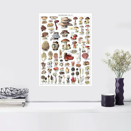 Vista 6 de Póster de hongos vintage impresos, tabla de referencia de identificación botánica de micología y hongos, volumen 1 y 2 (laminado, 18 x 24 pulgadas)