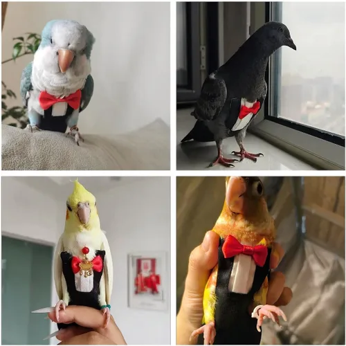 Vista 8 de Pañales para pájaros, arnés para pájaros, trajes de vuelo con correa voladora de 80 pulgadas, pañal de loro con capa interior impermeable para orina