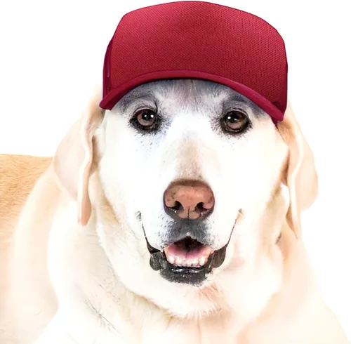 Vista 9 de DIY PupLid Trucker Hats (negro/blanco, XXS) - Sombrero de perro personalizable, lona en blanco para diseño personalizado, ajustable, protección