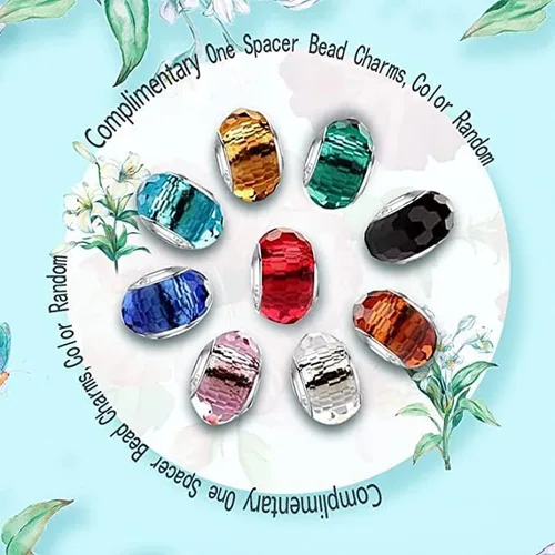 Vista 5 de HappyStar Cuentas de abalorios para pulseras de dije collar de joyería europea plata de ley 925 para mujer y niña cuentas de joyería de regalo