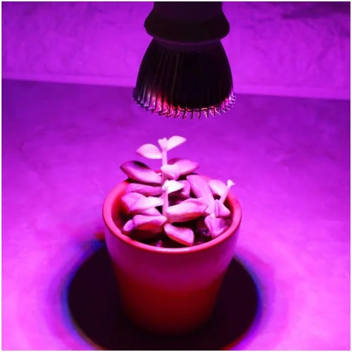Vista 5 de FastUU Lámpara de cultivo, desde la siembra hasta la cosecha de la planta crece la luz, para invernadero hidropónico para caja de cultivo pequeña