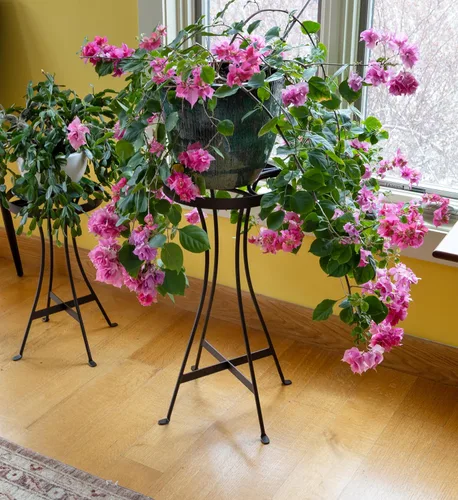 Vista 3 de Soporte para plantas Tara de 24" de alto