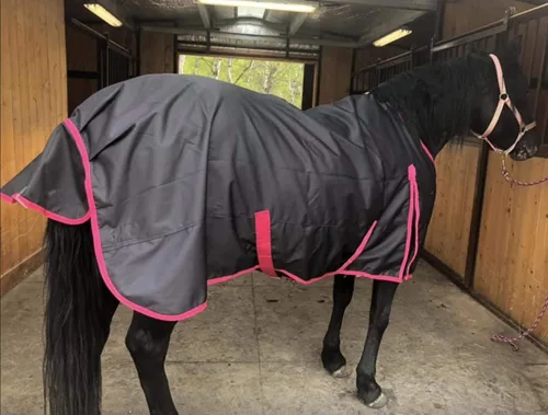 Vista 7 de Sábana de lluvia para caballo de 1200 denier (impermeable/transpirable y a prueba de viento), sábana impermeable transpirable para caballo