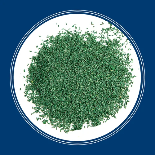Vista 12 de Pennington Smart Seed Kentucky Bluegrass Blend, semillas de césped