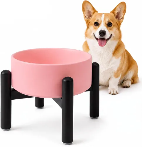 Vista 15 de Juego de cuencos elevados de cerámica para perros con soporte, 2 tazas de Negro
