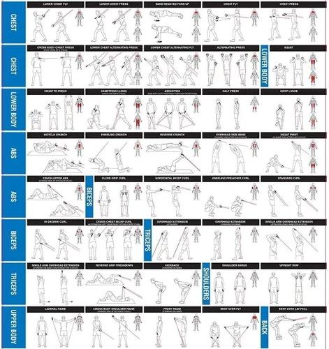 Vista 8 de Set de bandas de resistencia múltiples - bandas de ejercicio entrenamiento y rehabilitación - con ancla para puerta - asas - correa de tobillo