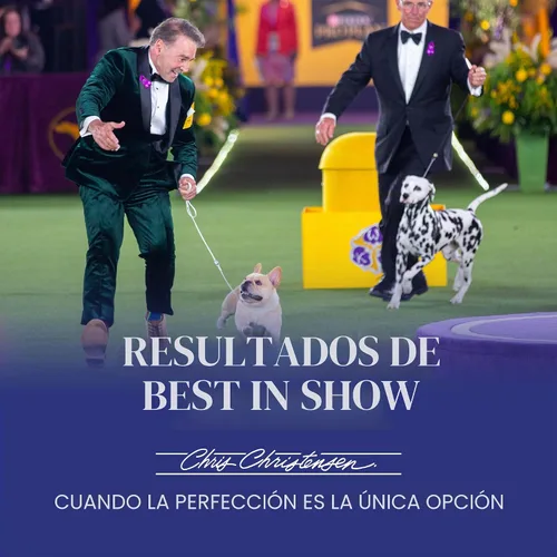 Vista 8 de Chris Christensen SmartWash50 Champú ultra concentrado para perros, hace hasta 50 botellas, acicalar como un profesional, deliciosamente perfumado
