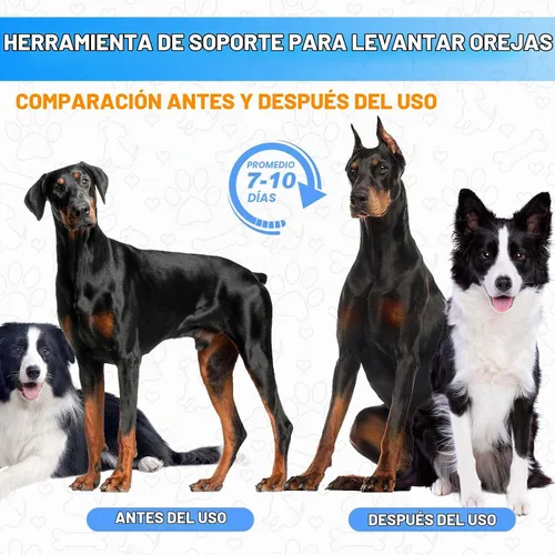Vista 7 de Juego de 4 cintas de soporte para orejas de perro Doberman dog ear support kit, 4 sets + 2 extra tape rolls, for doberman, samoyed, natural