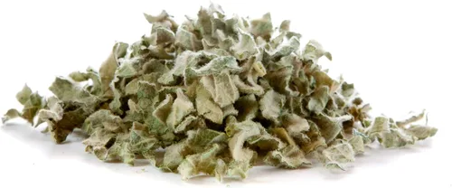 Vista 7 de Great Mullein Verbascum thapsus 1500 Semillas Heirloom - Sin OGM - Polinizado abierto