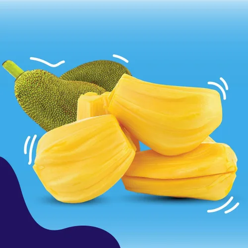Vista 6 de Jans Buah Chips de Jaca Deshidratada 7.05 oz (Paquete de 6) Chips de Fruta de Jaca – Bocadillo de Fruta Real – Sin Gluten, Dulce y Crujiente