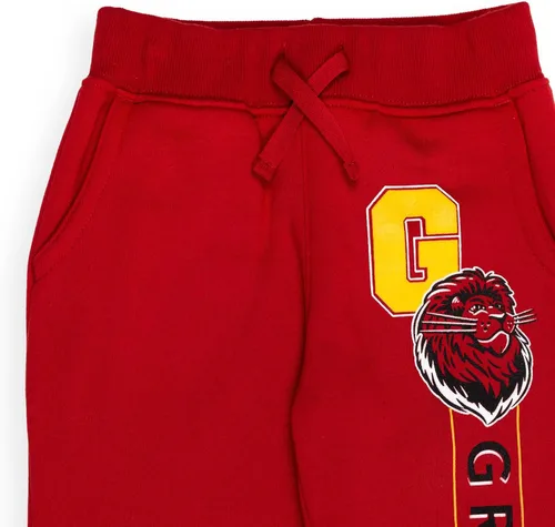 Vista 6 de Harry Potter Gryffindor Slytherin Hufflepuff Ravenclaw - Paquete de 2 pantalones deportivos de forro polar para niños pequeños a grandes