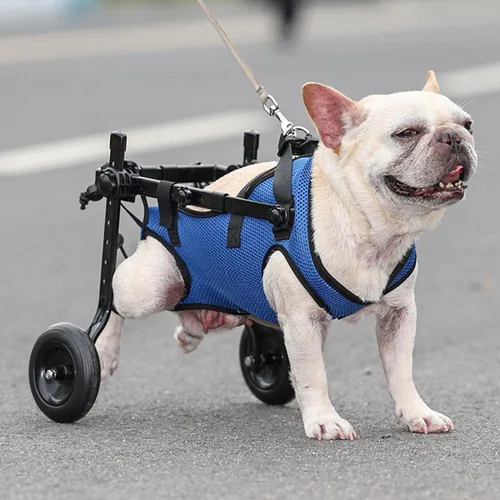 Vista 8 de Silla de ruedas ligera para perros y patas traseras, carrito ajustable con 2 ruedas, soporte de cadera transpirable, soporte para la pierna, ayuda a