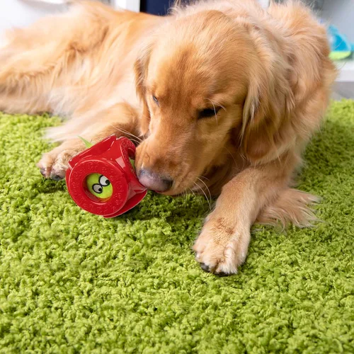 Vista 2 de goDog Holiday Collection - Juguete para perro 2 en 1 con pelota, chirriante Furballz, rojo, pequeño Juguete de pelota de jaula 2 en 1