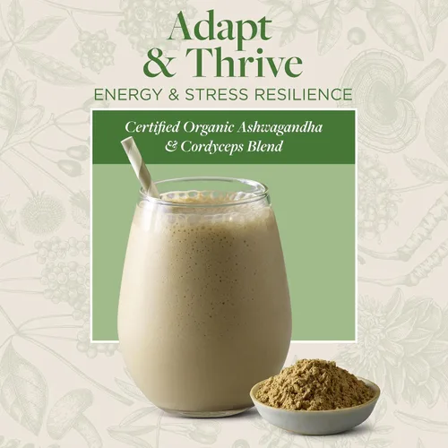 Vista 3 de kokora Adapt & Thrive - Apoyo energético y suprarrenal, alivio del estrés, relajación* - Polvo de hongos adaptogénicos orgánicos con Ashwagandha