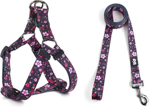 Vista 30 de QQPETS Juego de correa de arnés para perro, ajustable, resistente, sin tirones, arnés halter para perros de razas pequeñas, medianas y grandes, clip