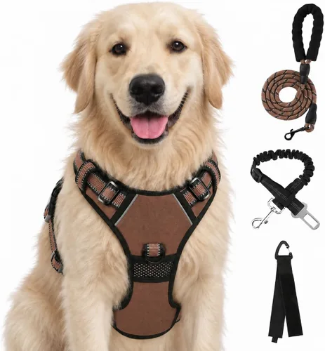 Vista 72 de FURRYFECTION - Arnés para perro a cuadros con correa y cinturón de Rosa