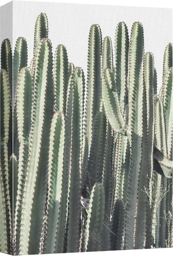 Vista 17 de wall26 Lienzo impreso para pared, diseño de rosa del desierto, suculentas, naturaleza, desierto, fotografía, realismo, floral, botánico, suroeste