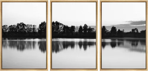 Vista 105 de NWT Juego de Arte de Pared de Lienzo Enmarcado Bosque Blanco y Negro Reflejo de Lago Paisaje Naturaleza Vida Silvestre Arte de Fotografía Rústico