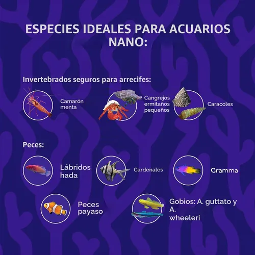 Vista 8 de Coralife BioCube - Tanque de peces para acuario de agua salada, 15 galones Sal de acuario para nano acuario, neutraliza el cloro y la cloramina