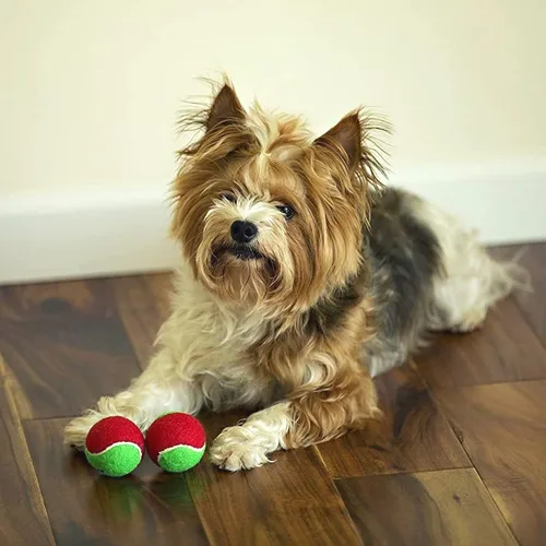 Vista 2 de Midlee Pelotas de tenis para perros de Feliz Navidad (pequeño)