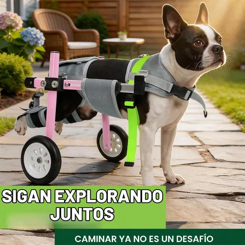 Vista 6 de Silla de ruedas ligera para perros para patas traseras, carrito
