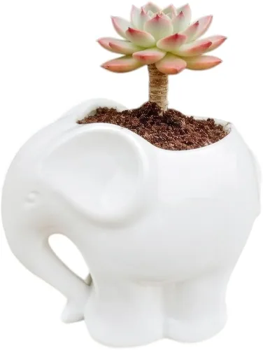 Vista 3 de Maceta de cerámica con forma de elefante, bonito recipiente para suculentas/cactus en forma de animal para decoración del hogar (4 pulgadas, blanco)