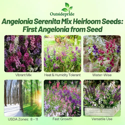 Vista 2 de Outsidepride Serenita Mix Angelonia - Semillas de dragón para plantar, 15 semillas de flores perennes, aptas para polinizadores, tolerantes al