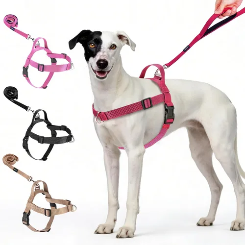 Vista 9 de Annchwool Arnés para perro sin tirones con clip frontal y asa de fácil control, arnés ajustable para el vientre y el pecho y correa para perros