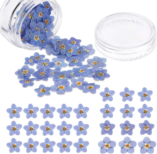 Vista 8 de Nuanchu Flores secas naturales "Don't Forget Me", flores secas prensadas reales para joyería, fabricación de velas, tarjetas, adornos de resina