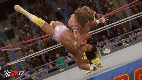 Vista 15 de WWE 2K17 - Steam PC Online Game Code