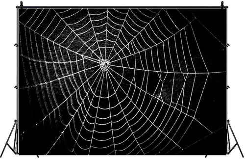 Vista 4 de Lofaris Telón de fondo de fotografía de telaraña, negro puro para niños, decoración de fiesta temática de terror para noche de Halloween, fondo