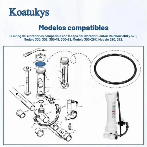 Vista 4 de 2PCS R172009 O-283 O-Ring para clorador de arco iris Pentair