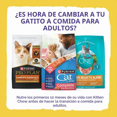 Vista 13 de Alimento seco para gato con fórmula nutritiva de Purina Kitten Chow, 14 lb
