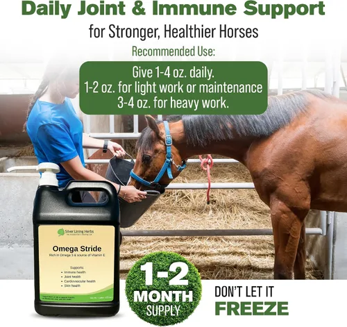 Vista 5 de Silver Lining Herbs Aceite de semilla de cáñamo Omega Stride para caballos
