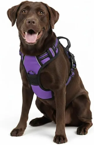 Vista 26 de Arnés para perro sin tirones, arnés reflectante cómodo ajustable con mango de fácil control delantero y trasero, acolchado suave para mascotas
