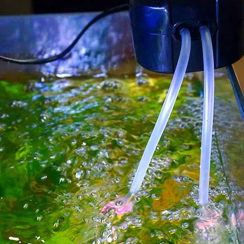 Vista 6 de Tubo de Silicona 3/32"(2mm) DI x 5/32"(4mm) DE Transparente Flexible Tubo de Goma de Silicona Agua Aire Manguera Tubo Transparente