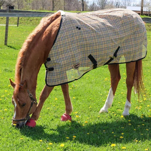 Vista 5 de Country Pride Textilene - Sábana para caballos, malla transpirable duradera, doble hebilla frontal ajustable, correas elásticas para las patas