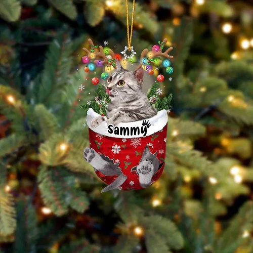 Vista 35 de Adorno personalizado de gato de rizo americano, adorno personalizado con nombre de mascota, colgante acrílico plano impreso en 2D, Papá Noel y gato