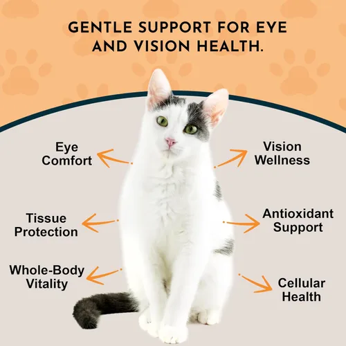Vista 3 de Animal Essentials Defensa ocular para perros y gatos, soporte ocular - 1 fl oz