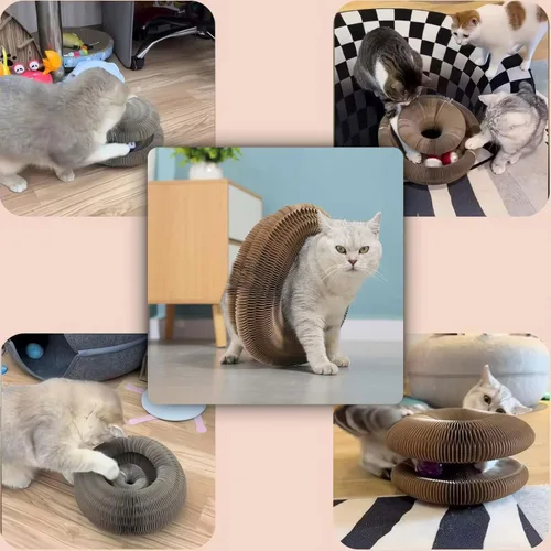 Vista 7 de SEPAZON Kitlty Cat Toys Kurliz - Rascador para gatos, tabla de rascar mágica para gatos, almohadilla de cartón reciclable para gatos aburridos