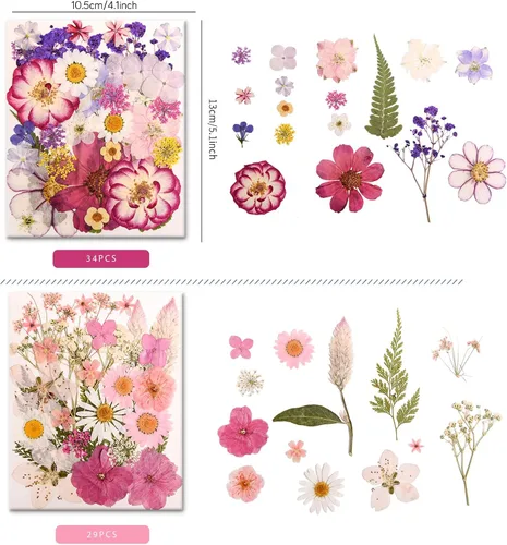 Vista 2 de 182 PCS Real Pressed Dried Flowers and Leaves for DIY Crafts Multicolor2