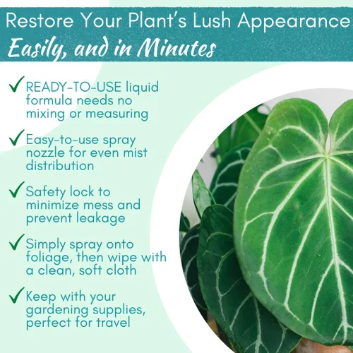 Vista 4 de Houseplant Leaf Shine Spray – Limpiador de hojas totalmente natural y brillo para un brillo saludable y una mejor fotosíntesis Perfecto