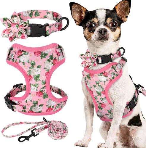 Vista 14 de Beirui Lindo juego de collares, arneses y correas para perro hembra, juego de collar y correa ajustable con flor - Arnés de malla suave para Azul