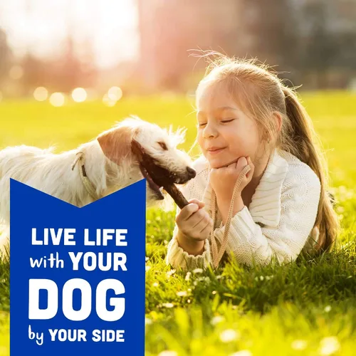 Vista 8 de Cloud Star Wag More Bark Less Soft Chews - Golosinas para perros, tocino, queso y manzanas, bolsa de 6 onzas