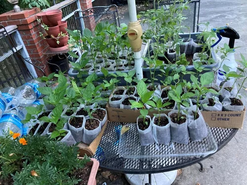 Vista 5 de 400 bolsas de plantación, bolsas transpirables no tejidas para plántulas, adecuadas para jardinería doméstica en interiores y exteriores