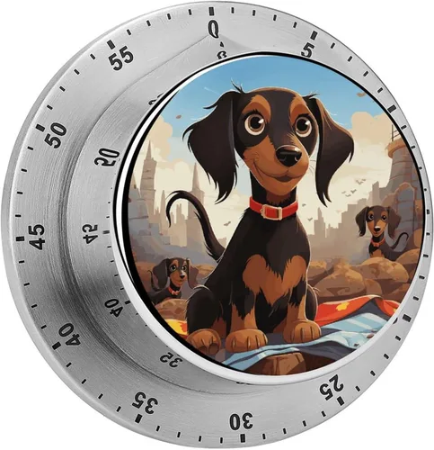 Vista 16 de African Woman Kitchen Timer 60 Minute Visual Wind Up Timer Indoor Mechanical Timers with Magnetic Base Stainless Steel Timers for Home Cooking Time