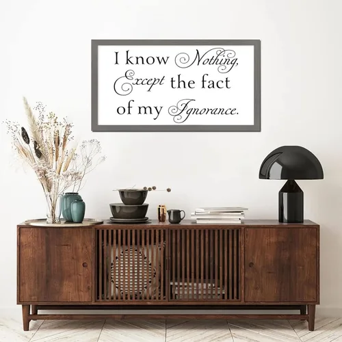 Vista 8 de Letrero de madera de estilo vintage de 12 x 22 pulgadas con texto positivo en inglés "I Know Nothing Except the Fact of My Ignorancance