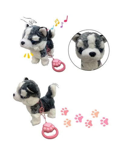 PERRO CON CUERDA CAMINA LADRA de FYA