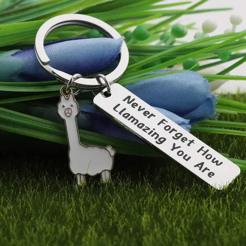 Vista 3 de FOTAP Llama Gift Never Forget How Llamazing You are Llavero Be Llamazing Cute Alpaca para mujeres Alpaca Regalos Animal Lover Regalo
